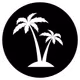 Dancing Palms