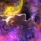 Artme_Calyptra