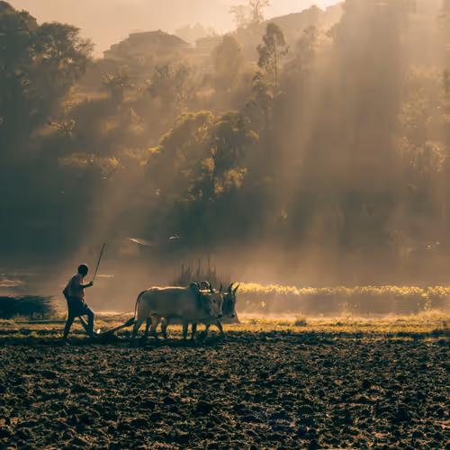 No More Secrets No More Lies