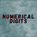 The Basics - Numerical Digits