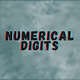 The Basics - Numerical Digits