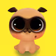 Puggy Kingdom