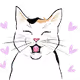 About Cats