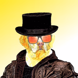 Espace réservé aux médias de l'article