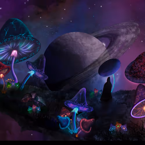 Shroomverse By Sydart