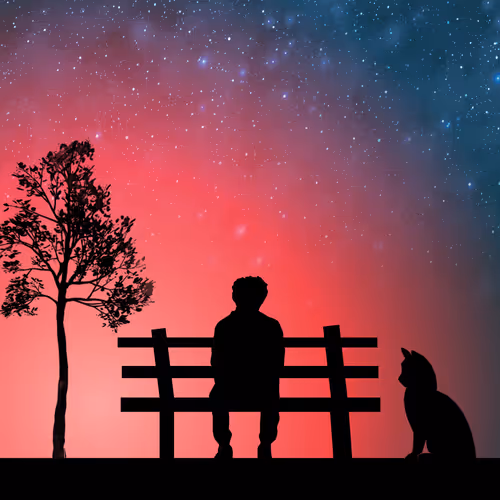 World of Silhouette