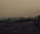 Cinematics