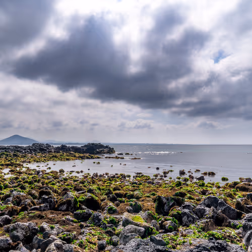 Light and Background