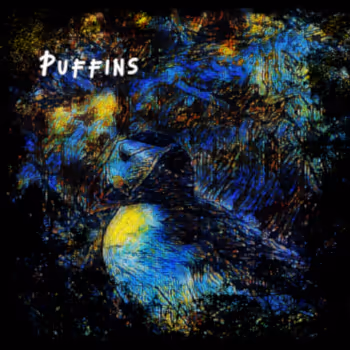 Puffins