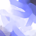 MoF1