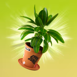 Item Media Placeholder