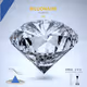 SWE_The Exclusive Team of 10 Billionaires