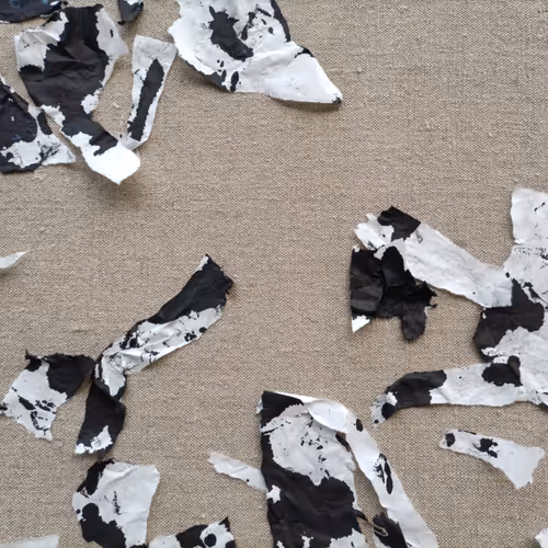 Bible of Mountains and Seas