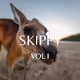 Skippy Vol I
