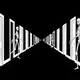 Infinite Hallway Digital Collection
