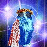 King Carlo All-Star Edition