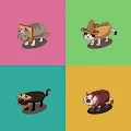 sandwich cat exclusive collection