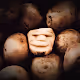 TATR.tech Fan Art - (10 lb Sack) - old