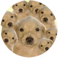 DegenDoggos NFT