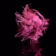 FOLLICLES GENESIS