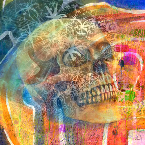 Karrie Ross Blended: Skulls