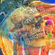 Karrie Ross Blended: Skulls