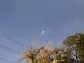 Post-Lunar Eclipse 2021