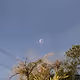 Post-Lunar Eclipse 2021