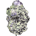 WeedFTs