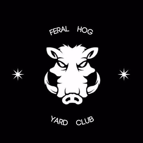 30-50 Feral Hogs