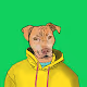 Who's A Good Doggy?