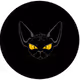 Toronto Sphynx Cat