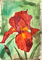 Watercolor Irises