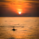 Sunrise, Sunset: Around the World
