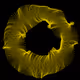 Diatom by Joshua Schachter