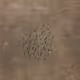 crystalline work (arctic) by john gerrard