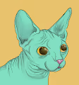 Cats ART - old