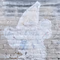 Erased Series
