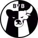 BVB Genesis