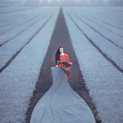 Fields of Dreams by OPRISCO