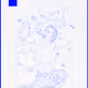 Wÿn editions