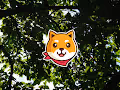 Akita Inu in Digital Jungle.