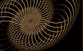 Golden Lines & Forms