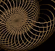 Golden Lines & Forms