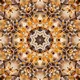 Mandala Madness - Art, Abstract, Soul, Color, Life, Body, Peace, Generative, Love, Dream, Buddha