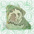 Bulldogs of Bitcoin