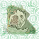 Bulldogs of Bitcoin