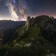Flowerful Emotions
