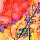 Gaia's Palette