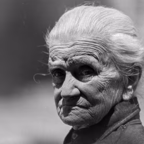 Fotografias blanco y negro , el Acto en El blanco de inmersion